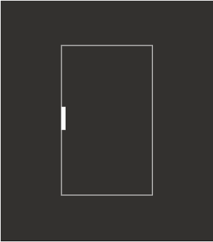 Mono